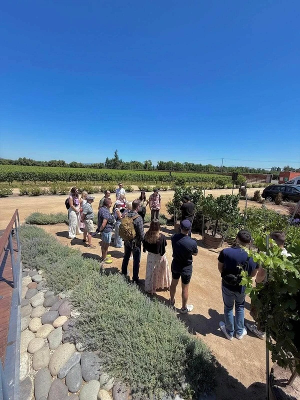 San Antonio Shore Excursions